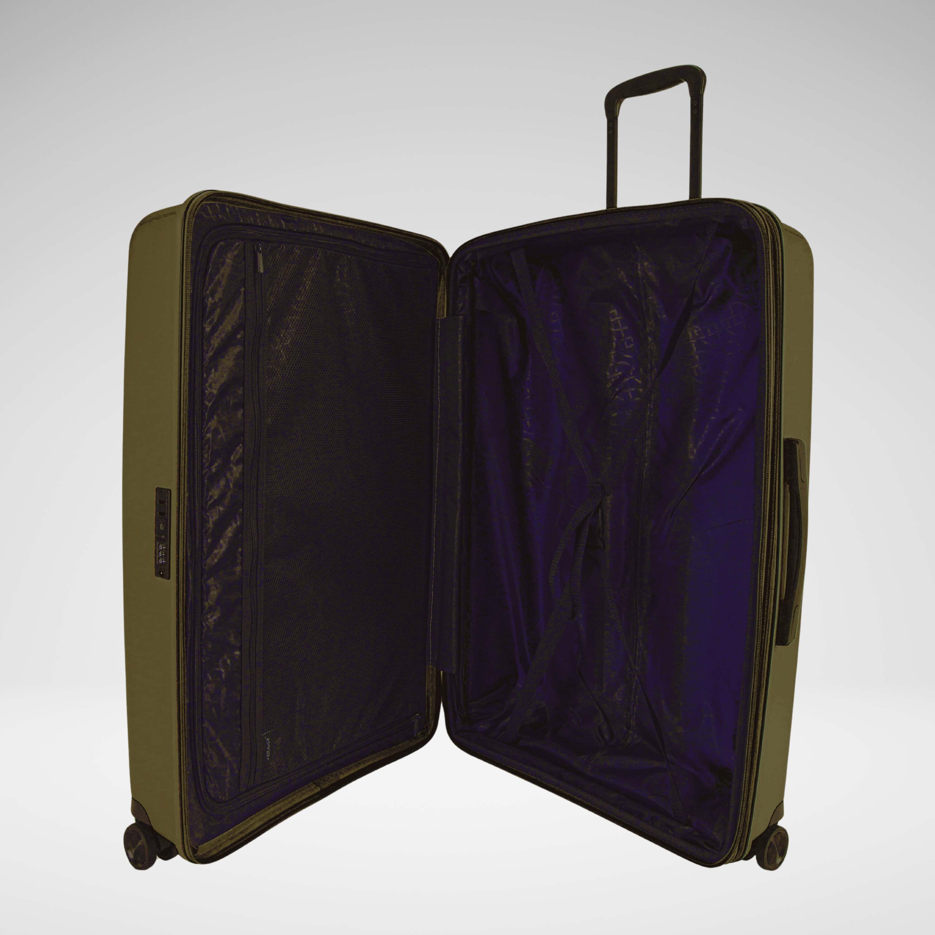 Luggage Set of 4