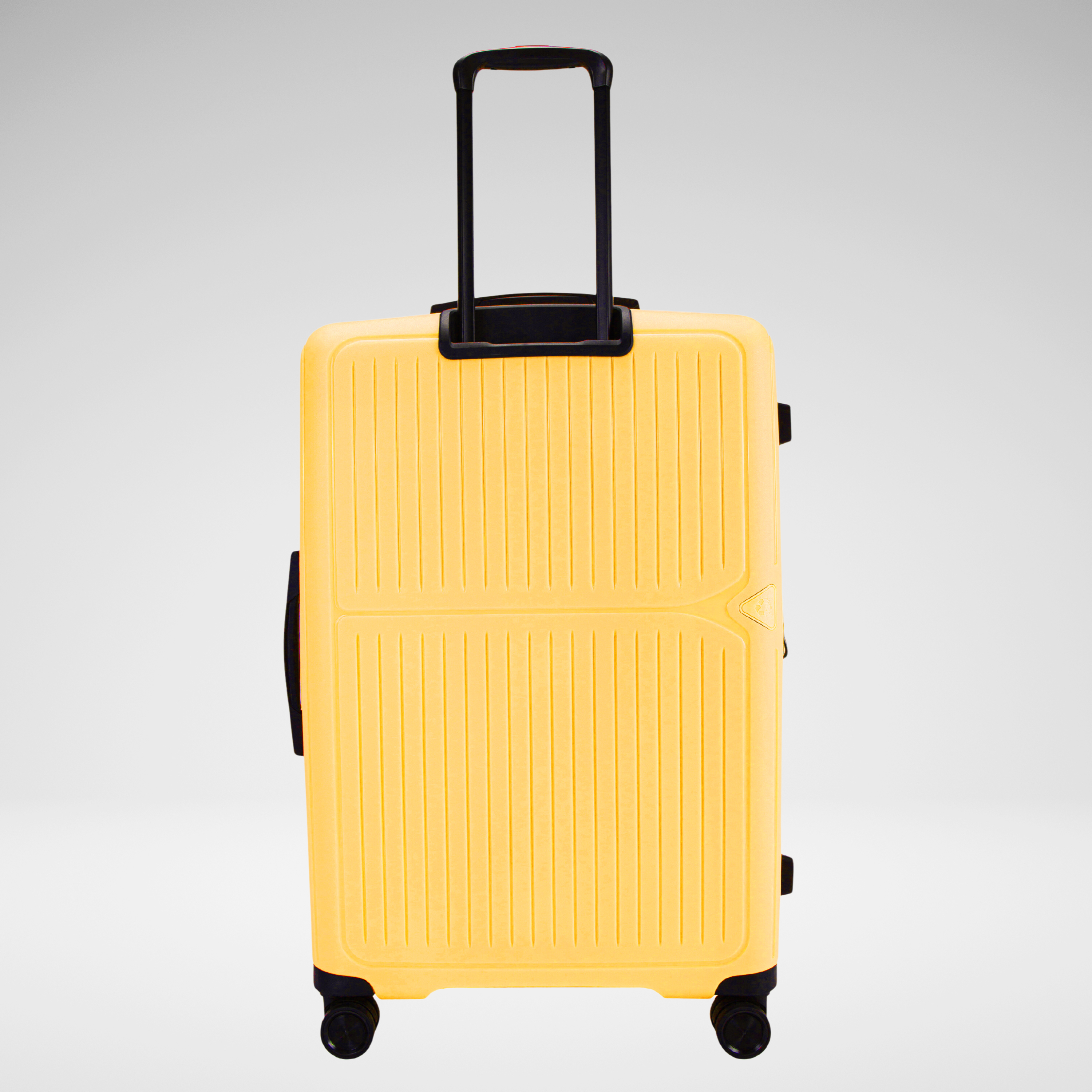 Luggage Set of 4
