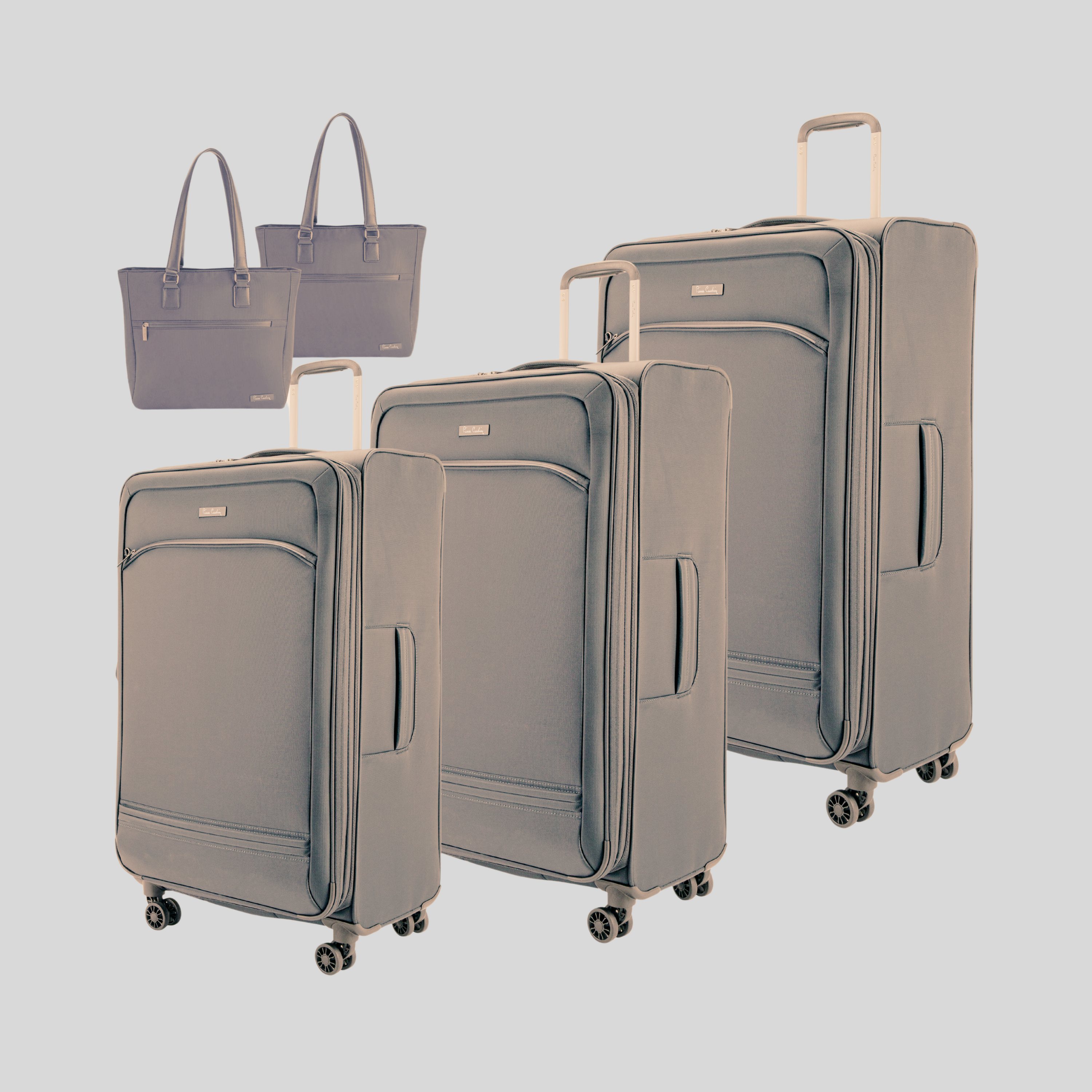 Platinum Luggage Set of 5