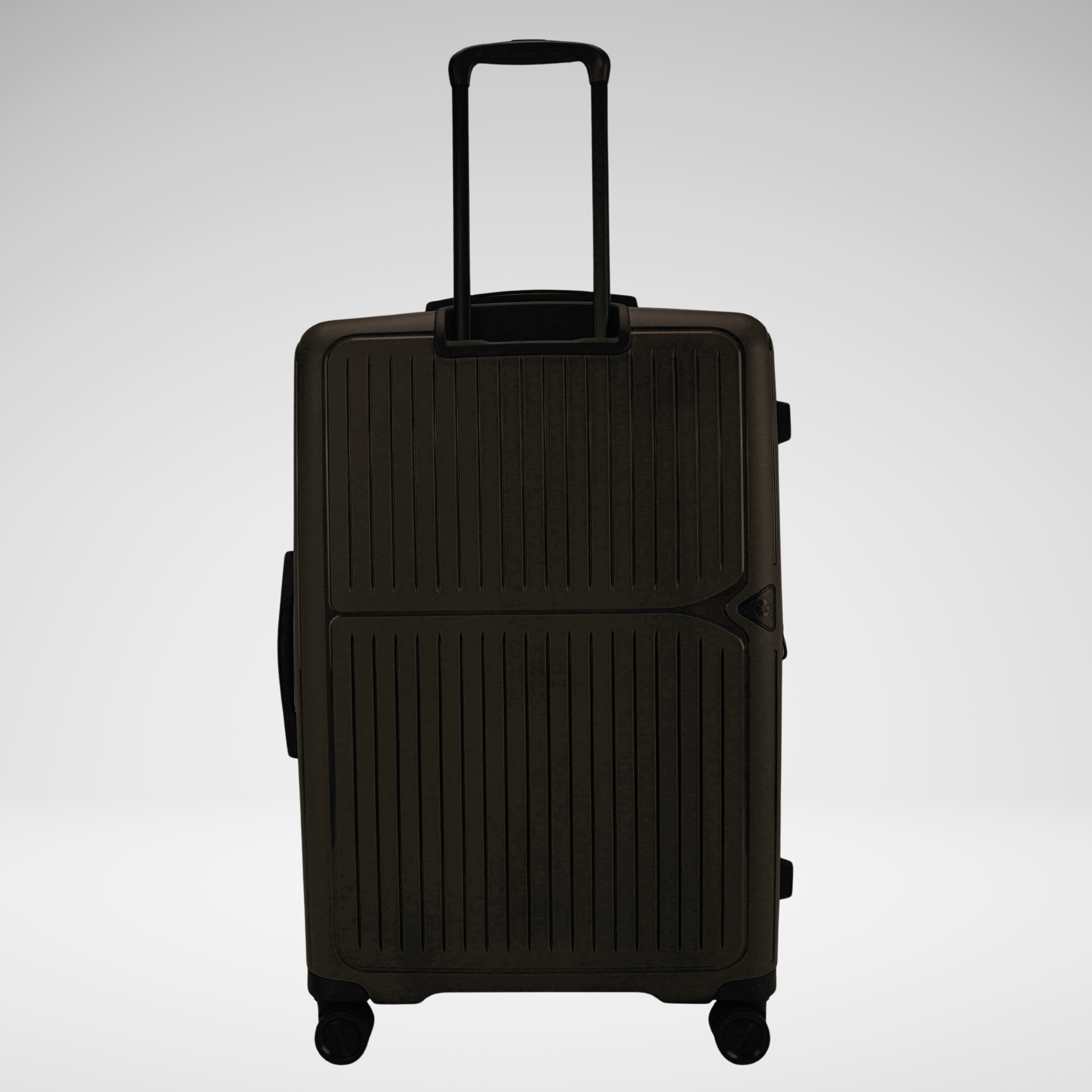 Luggage Set of 4