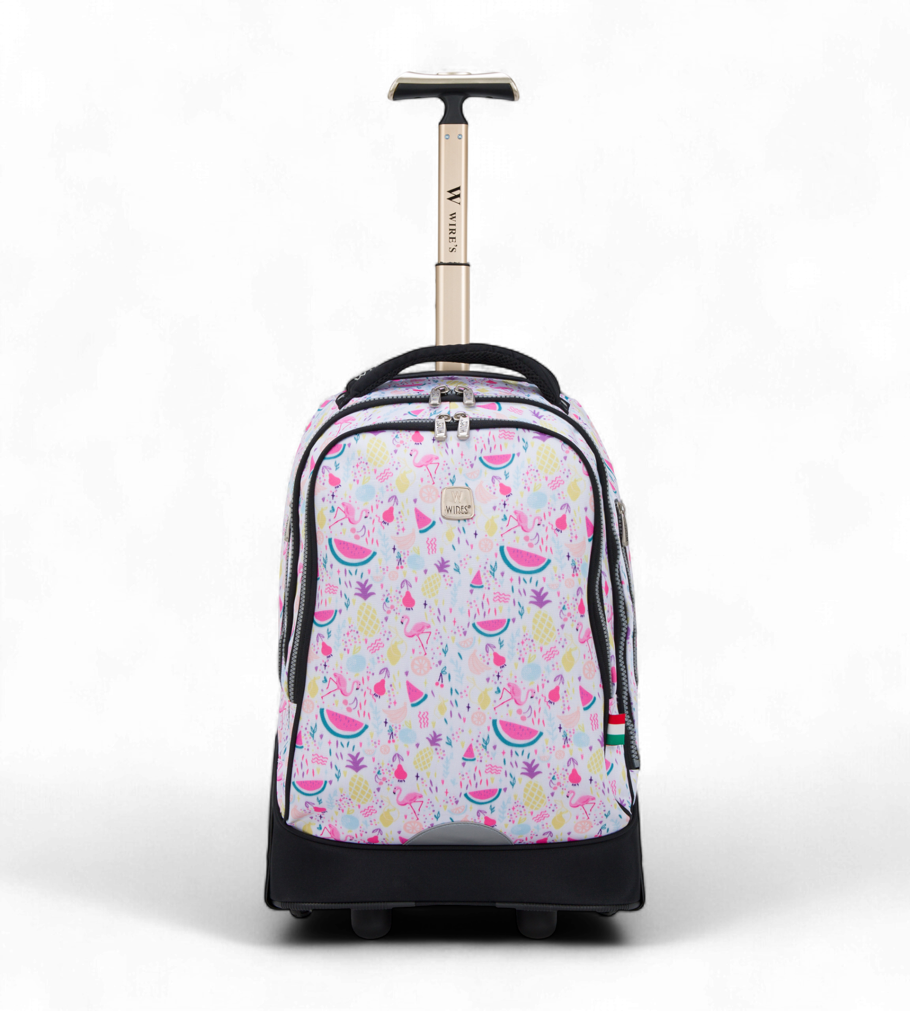 WIRES 5-Piece Rolling School Bag Set with Big Wheels