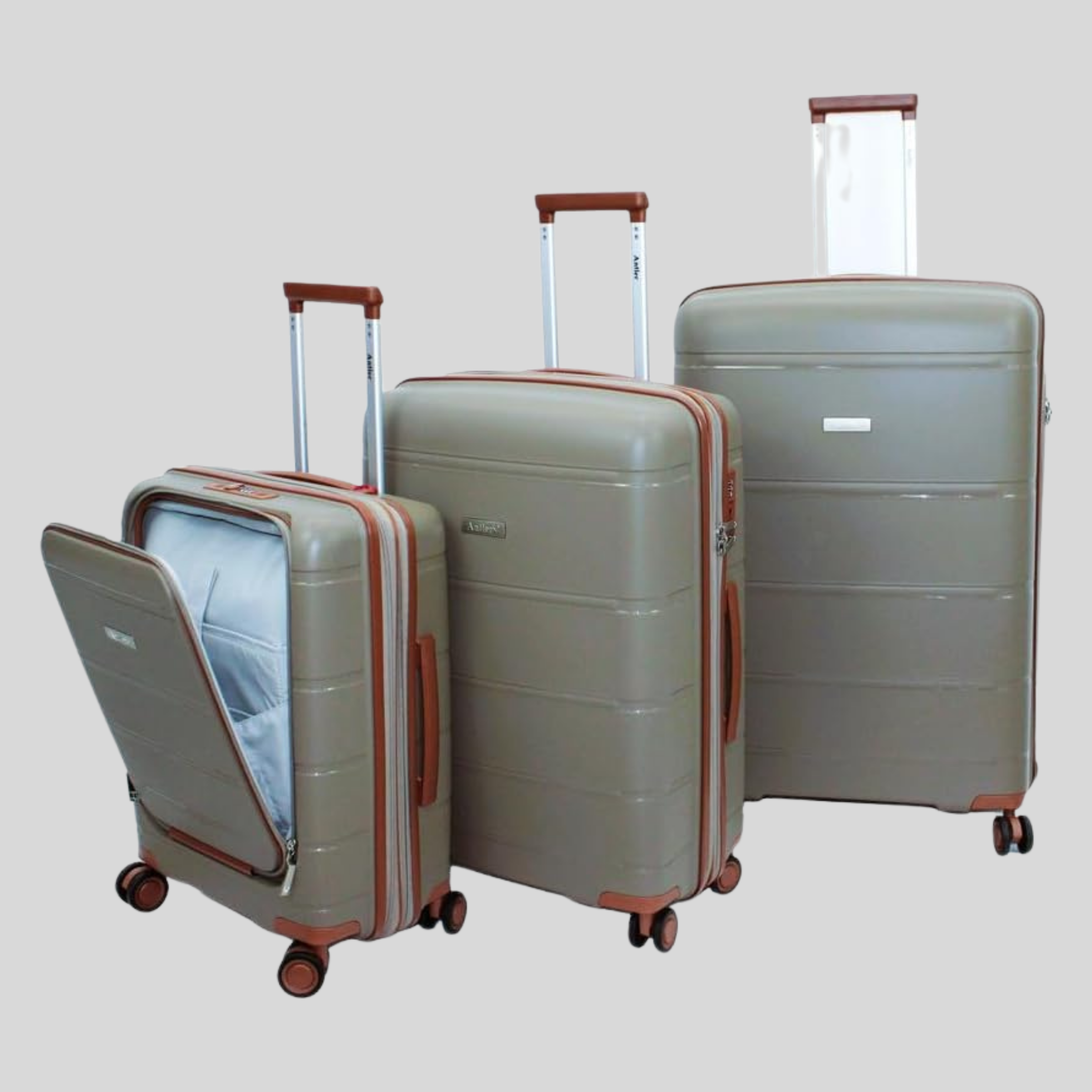 Sofia Collection Luggage - Set of 3