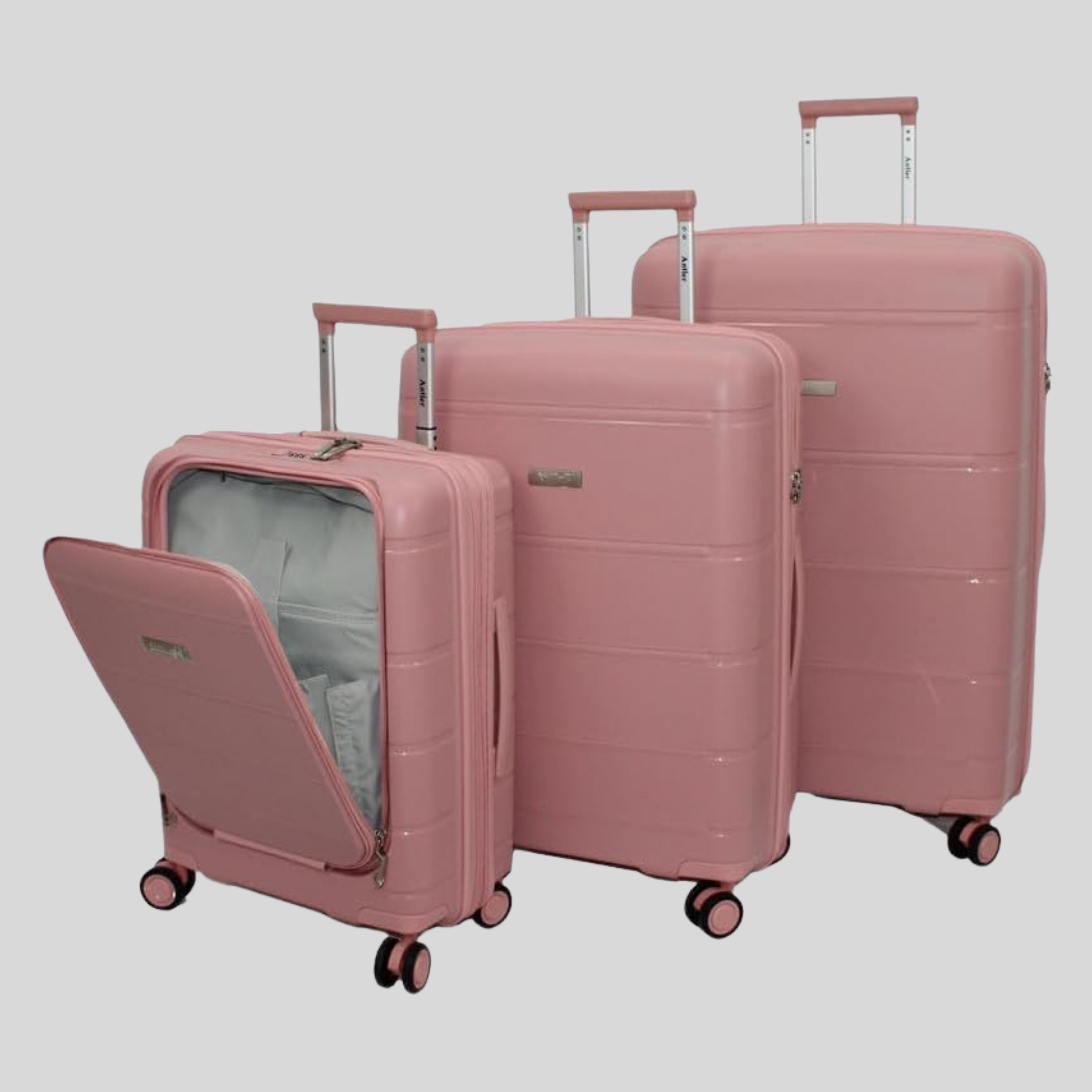 Sofia Collection Luggage - Set of 3