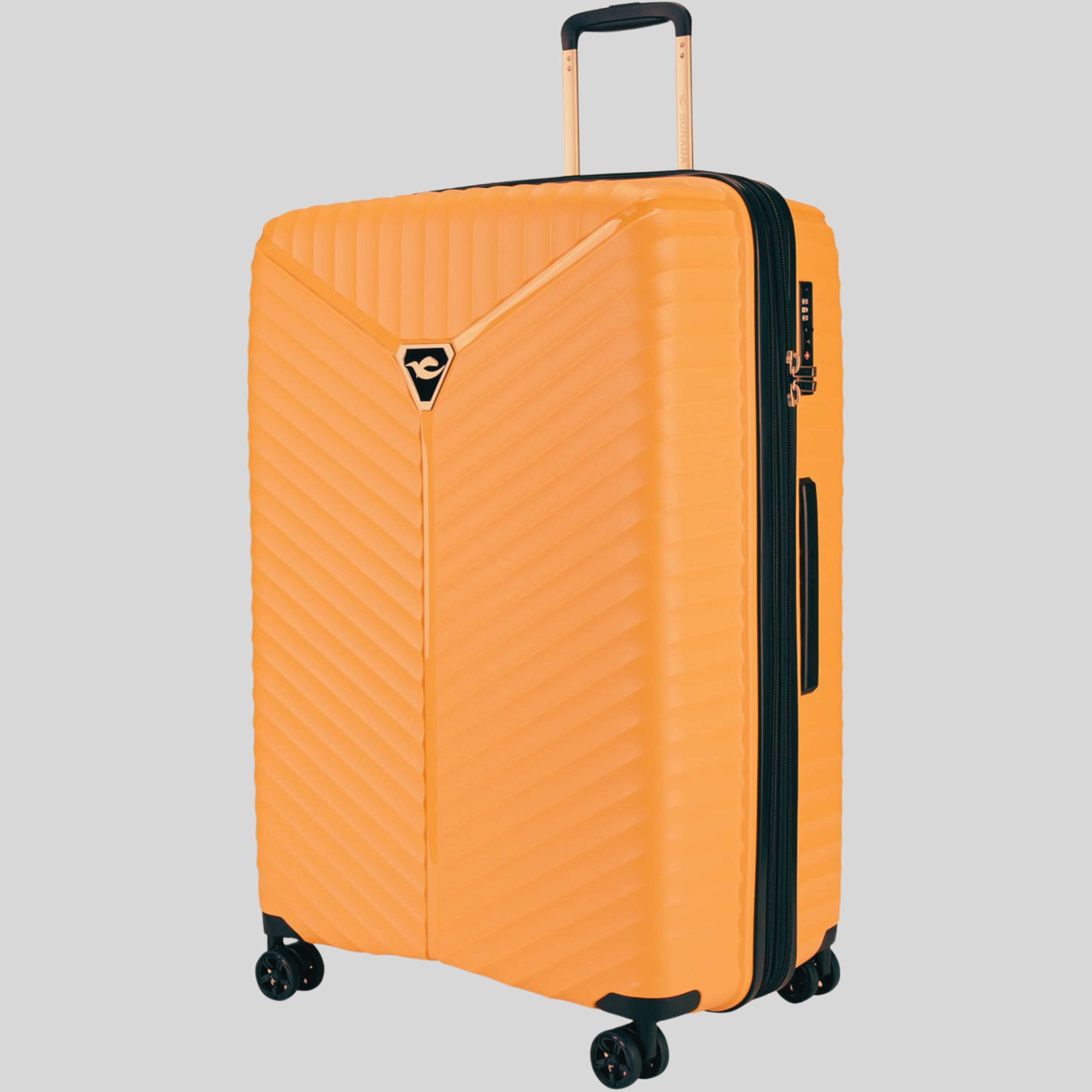 Tourin Luggage Set of 4