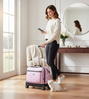 4_Wheels_Trolley_School_Bag_Set_of_5_W24591_Default2 (Product Staging)