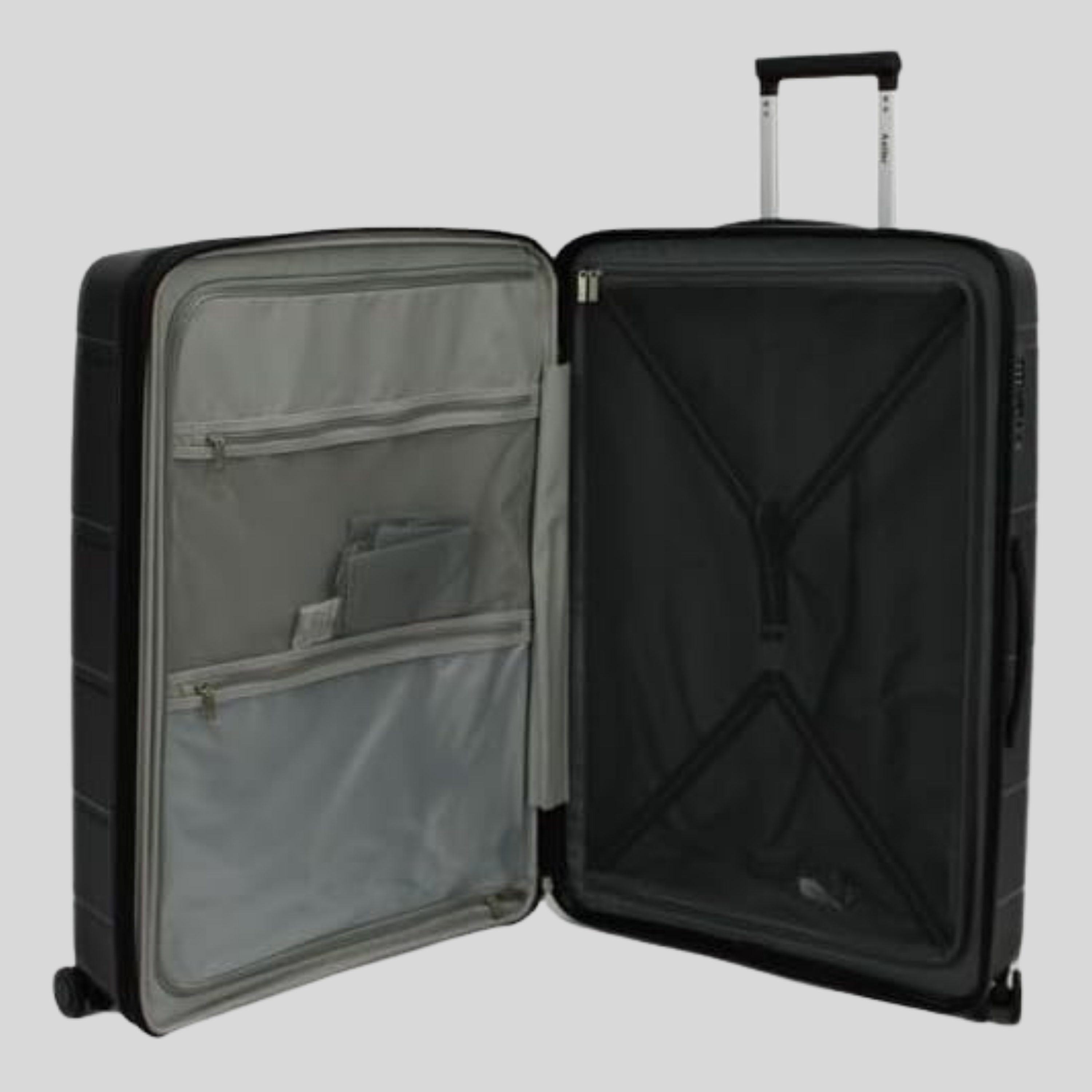 Sofia Collection Luggage - Set of 3