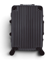 Lushberry BAKER Small 20 Inch Polycarbonate Spinner Suitcase