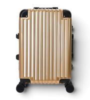 Lushberry BAKER Small 20 Inch Polycarbonate Spinner Suitcase