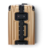 Lushberry BAKER Small 20 Inch Polycarbonate Spinner Suitcase