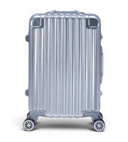 Lushberry BAKER Small 20 Inch Polycarbonate Spinner Suitcase
