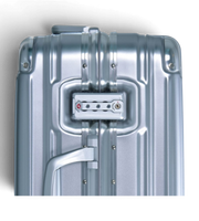 Lushberry BAKER Small 20 Inch Polycarbonate Spinner Suitcase