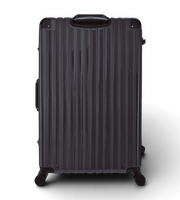 Lushberry BAKER Large 30 Inch Polycarbonate Spinner Suitcase