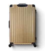 Lushberry BAKER Large 30 Inch Polycarbonate Spinner Suitcase