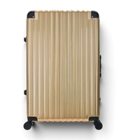 Lushberry BAKER Large 30 Inch Polycarbonate Spinner Suitcase