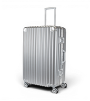 Lushberry BAKER Large 30 Inch Polycarbonate Spinner Suitcase