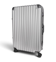 Lushberry BAKER Large 30 Inch Polycarbonate Spinner Suitcase