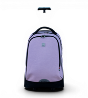 Big_Wheel_School_Trolley_Set_of_3_W25104_Purple3