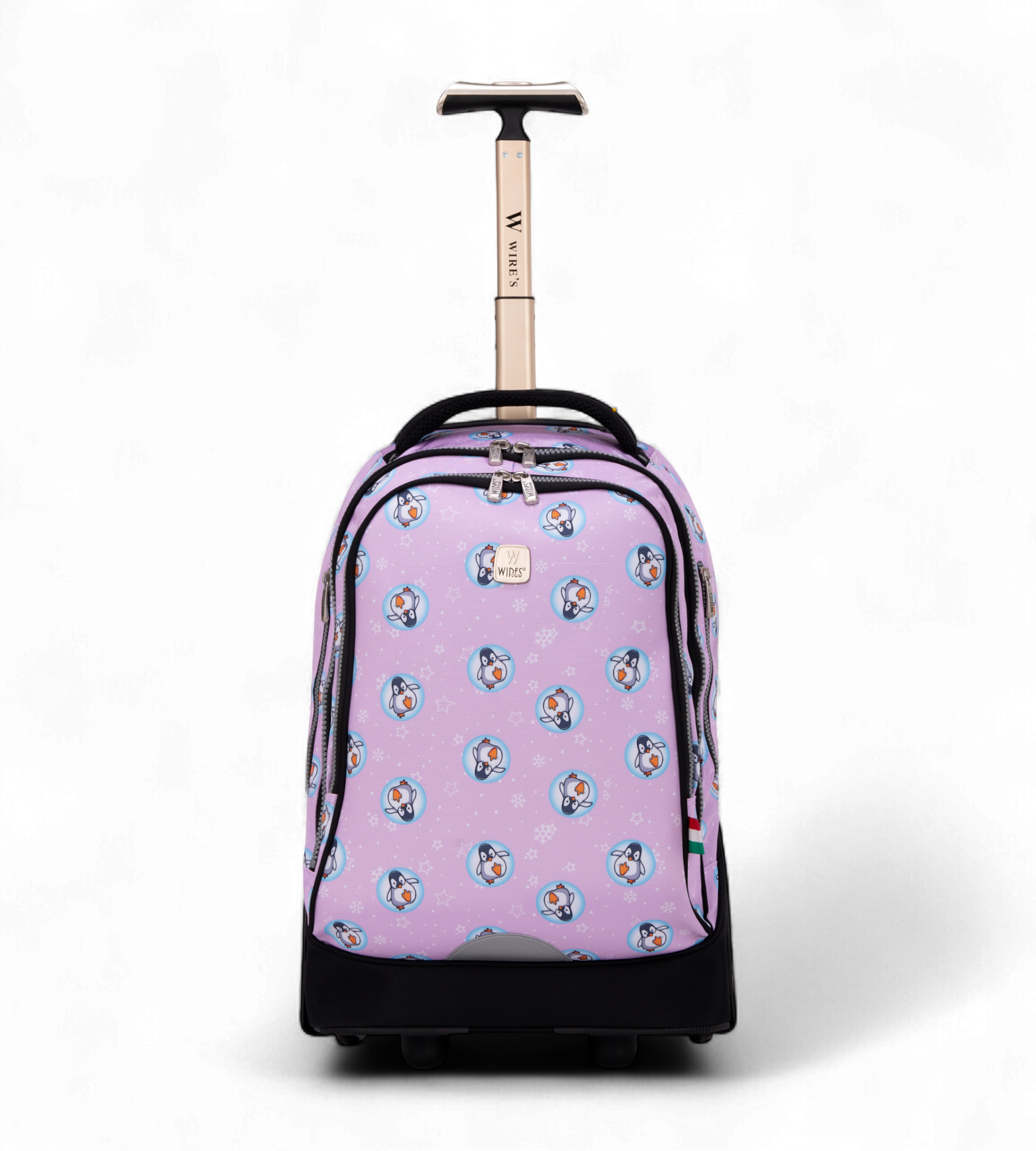 WIRES 5-Piece Rolling School Bag Set with Big Wheels