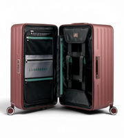 Lushberry Quantum Medium 26 Inch Polycarbonate Spinner Suitcase