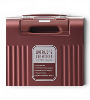 Lushberry Quantum Small 20 Inch Polycarbonate Spinner Suitcase