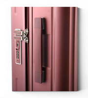 Lushberry Quantum Small 20 Inch Polycarbonate Spinner Suitcase
